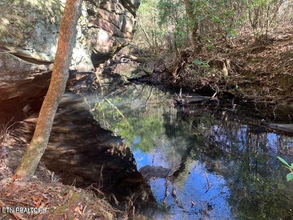 Tract 1 Lone Wolf Tr, Spencer, TN 38585