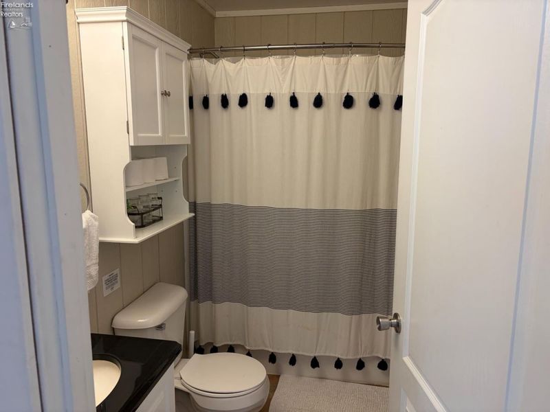 203 Lower Cliff Drive, Kelleys Island, OH 43438 Photo 9