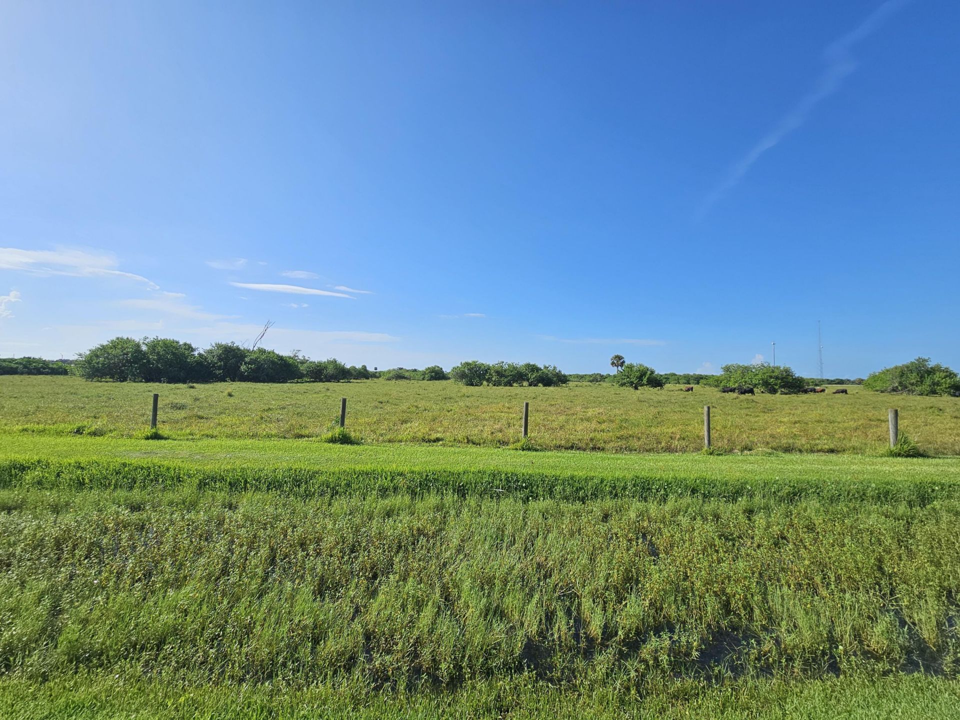 904 SW 44th Boulevard, Okeechobee, FL 34974 Photo