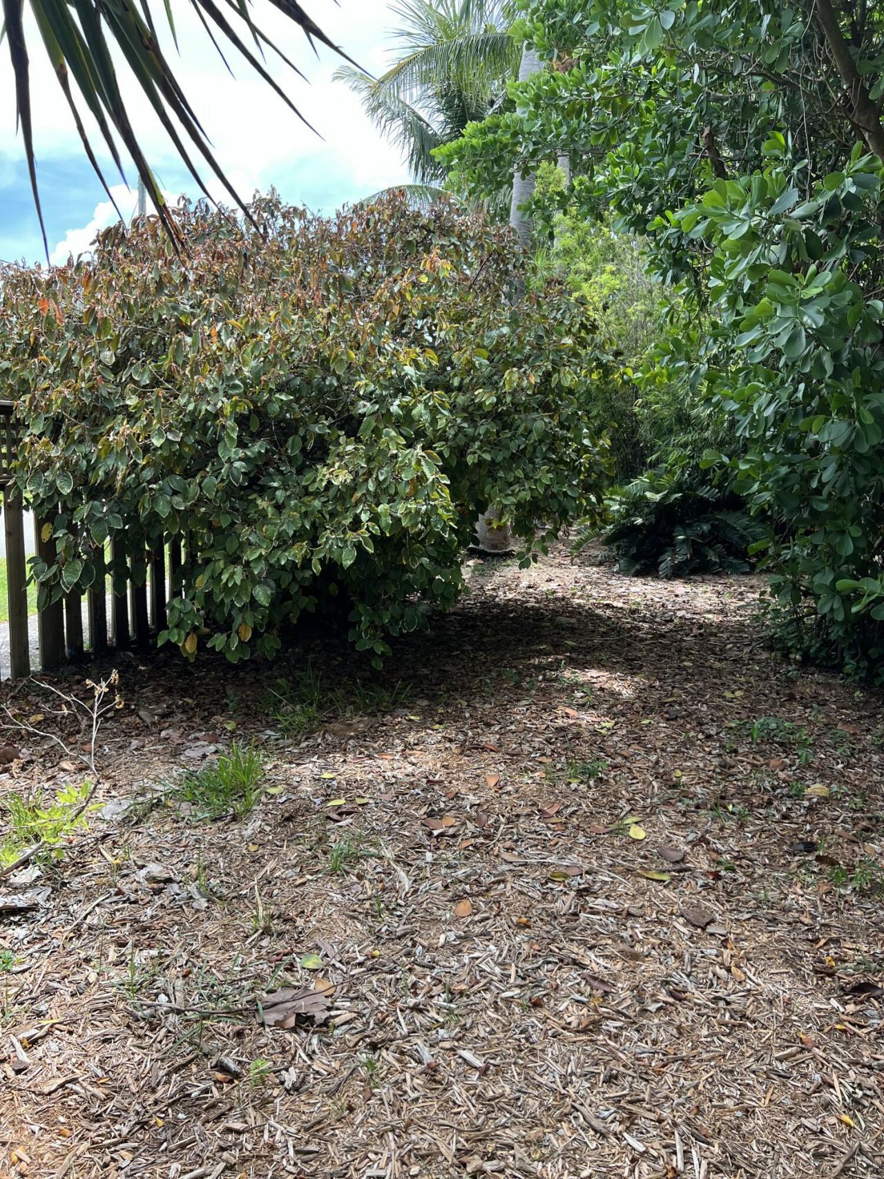 2240 Harbor Drive, Marathon, FL 33050 Photo