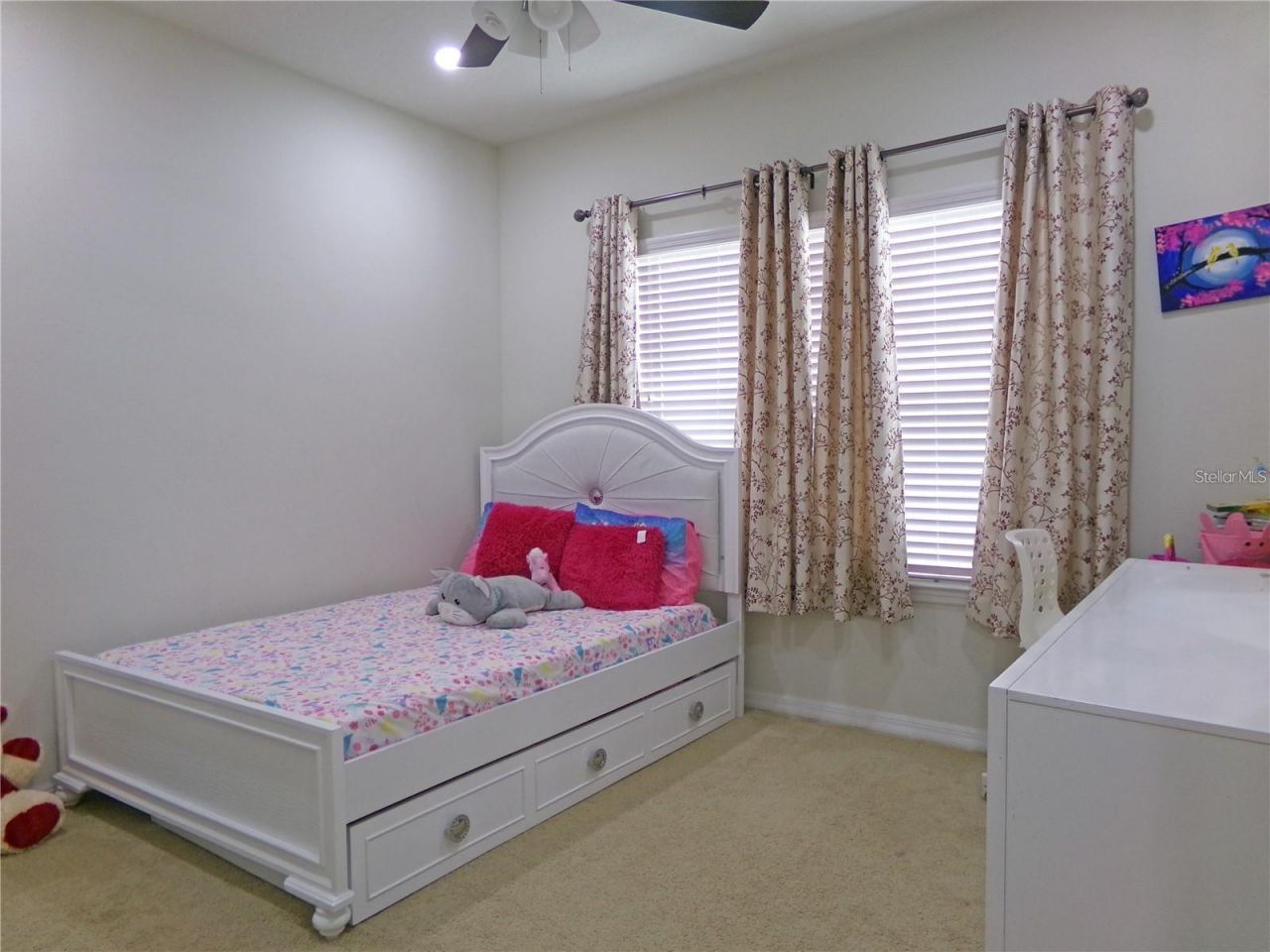 5941 Caldera Ridge Drive , Lithia, FL 33547 Photo