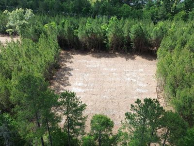3 Highway 311, Cross, SC 29436