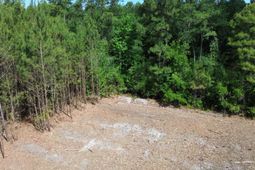 3 Highway 311 photo 4