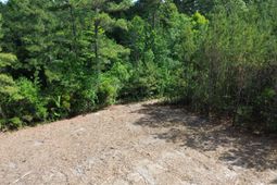 3 Highway 311 photo 4