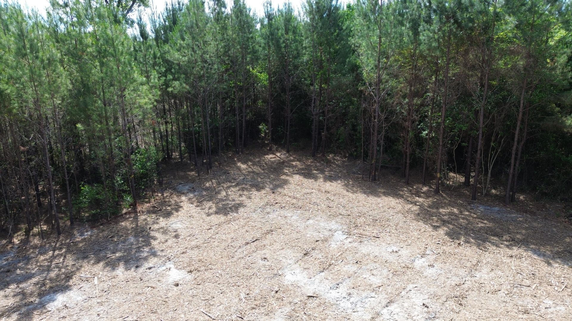 3 Highway 311 Photo 4