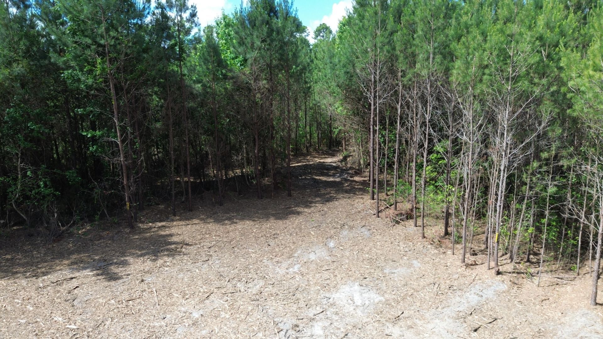3 Highway 311 Photo 5