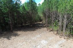 3 Highway 311 photo 4