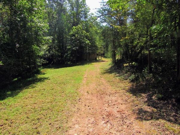 343 Hollybrook Road, Dahlonega, GA 30533