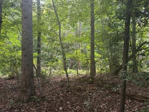Lot 2 Edgewood Road, Wilkesboro, NC 28697