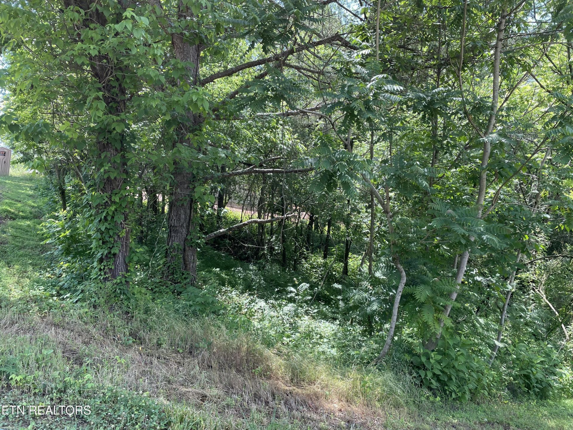 163 Utsesti , Loudon, TN 37774 Main Photo
