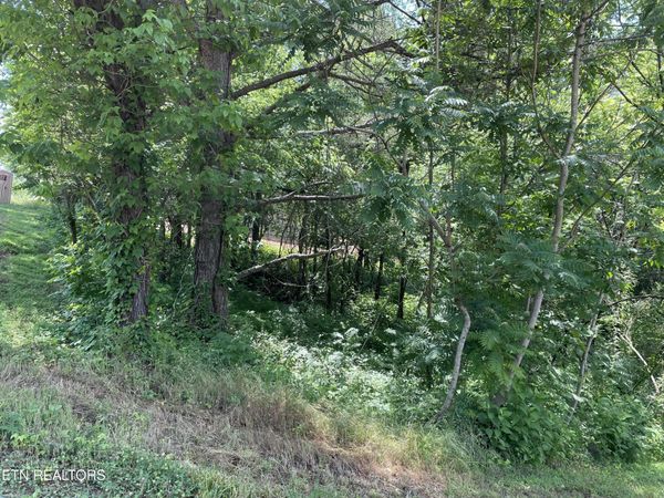 163 Utsesti , Loudon, TN 37774