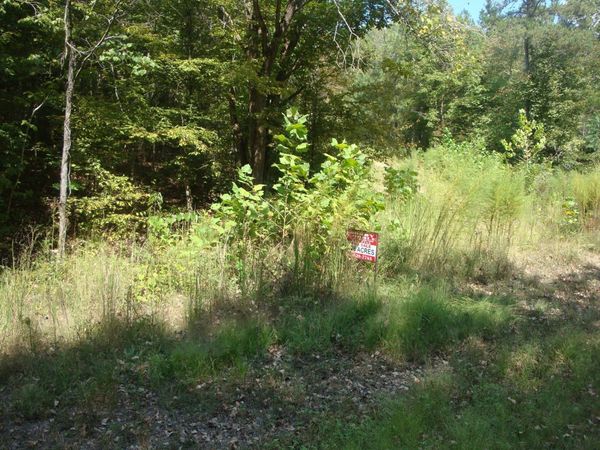 561 Allens Creek Rd, Hohenwald, TN 38462