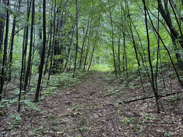 0 Grapevine Lane, Pownal, VT 05261