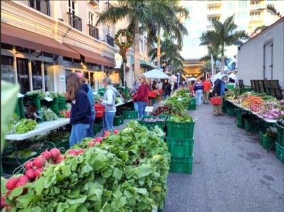 6343 Hollywood Boulevard, Sarasota, FL 34231 Photo