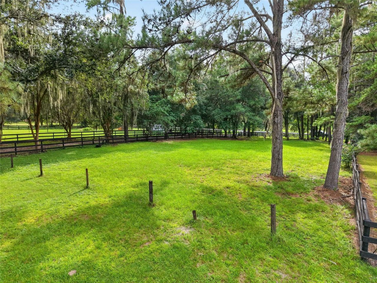 17931 SE County Road 234, Micanopy, FL 32667 Photo