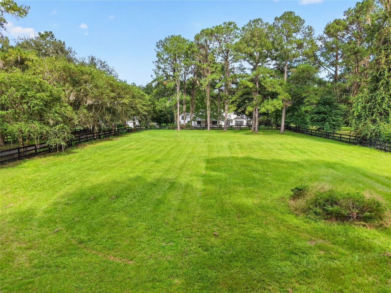 17931 SE County Road 234, Micanopy, FL 32667 Photo