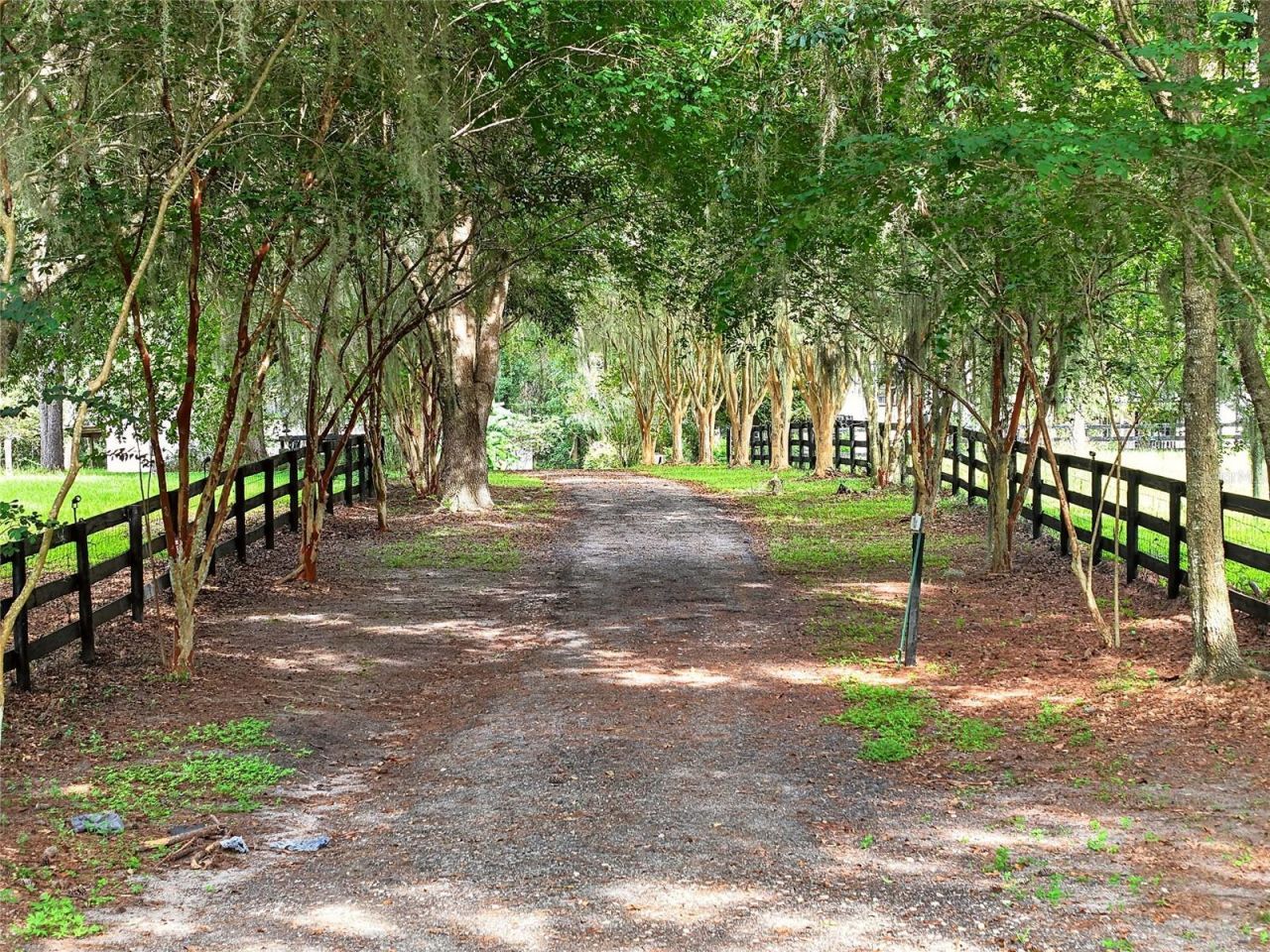 17931 SE County Road 234, Micanopy, FL 32667 Photo