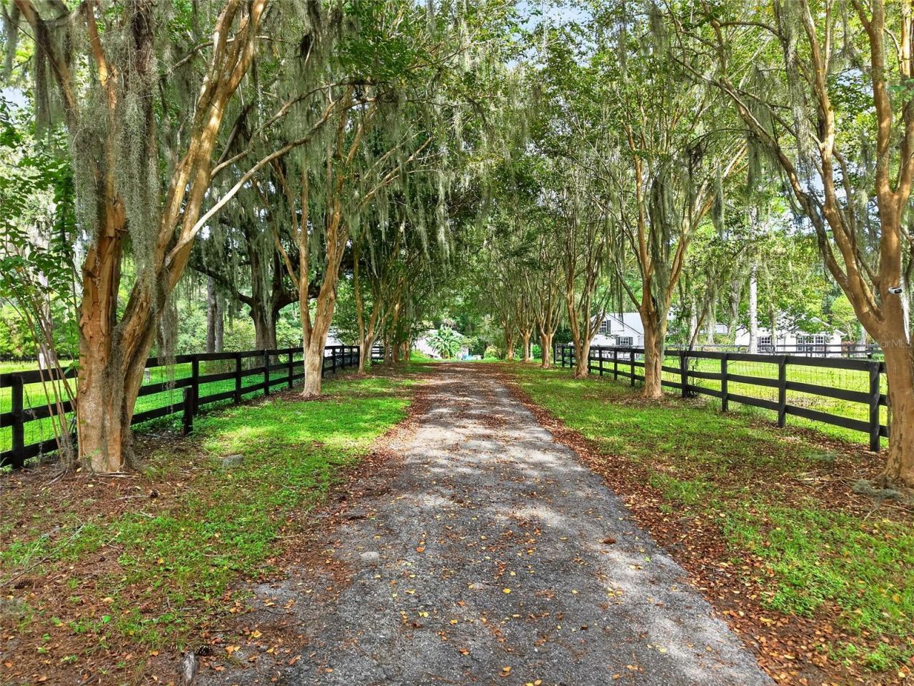17931 SE County Road 234, Micanopy, FL 32667 Photo