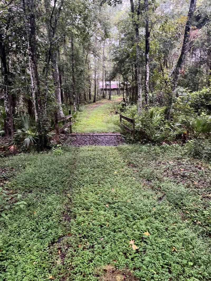 17931 SE County Road 234, Micanopy, FL 32667 Photo