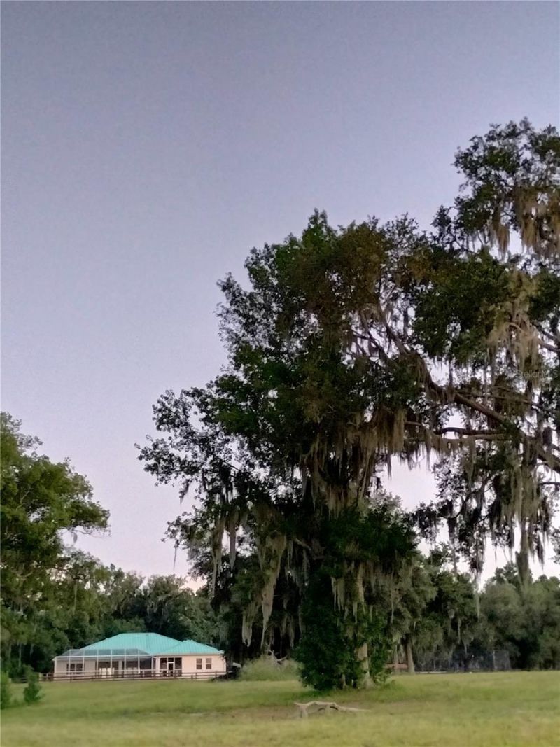 35949 Bozeman Road, Dade City, FL 33525 Photo
