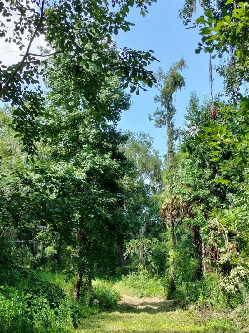 35949 Bozeman Road, Dade City, FL 33525 Photo