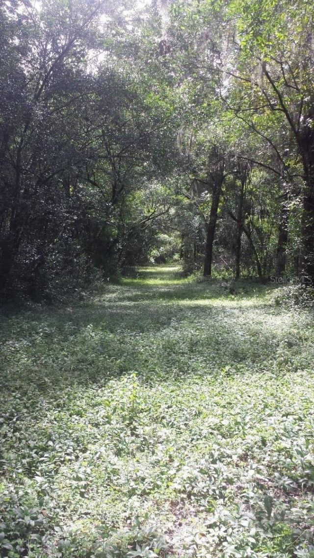 35949 Bozeman Road, Dade City, FL 33525 Photo