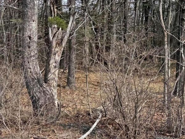 County Route 312, Call Listing Agent, NY 12045