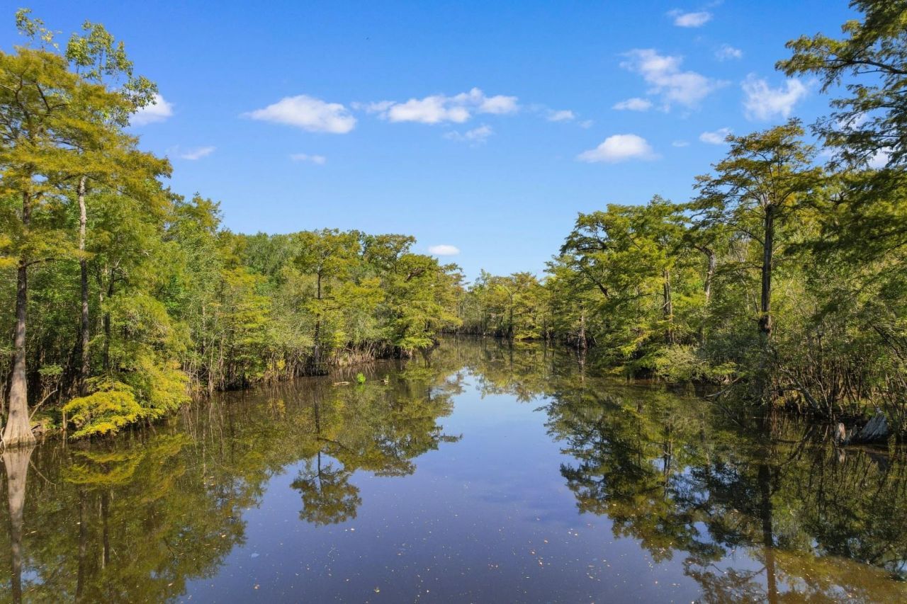 254 Rivers Edge Dr. Photo 40