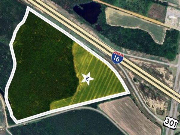 64.05 ACRES Highway 301, Register, GA 30452