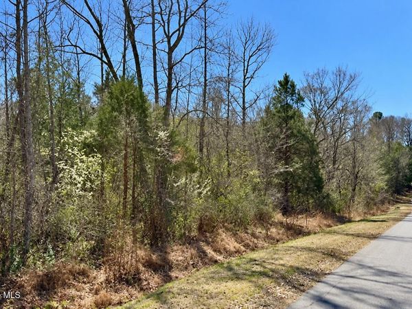 132 Bill Thomas Road , Moncure, NC 27559