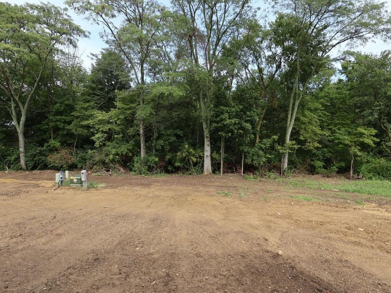 1137 Saddle Tank Drive, Plain City, OH 43064 Photo 10