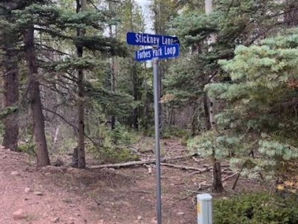Stickney Lane, Lot 3126, Fort Garland, CO 81133