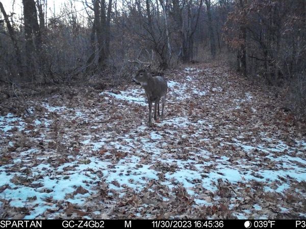 0 County Rd DD -, Gale, WI 54627