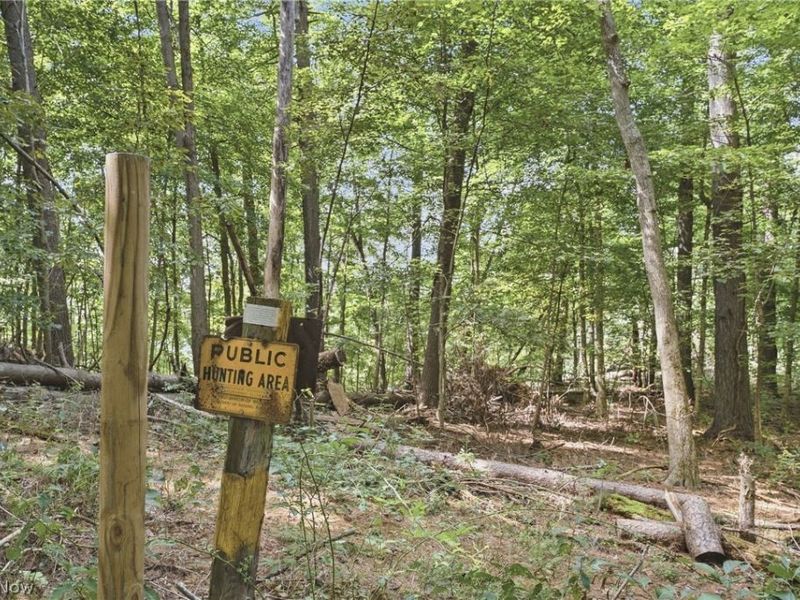 33065 Akron Boat Club Road, Piedmont, OH 43983 Photo 35