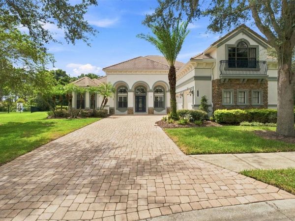 20101 FAIR HILL WAY, TAMPA, FL 33647