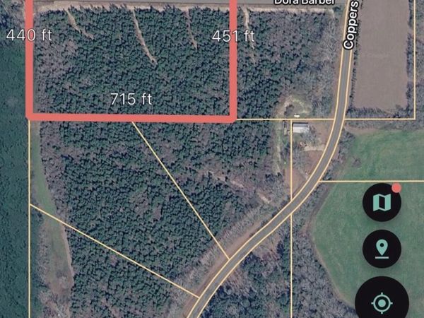 22 Dora Barber, Tylertown, MS 39667