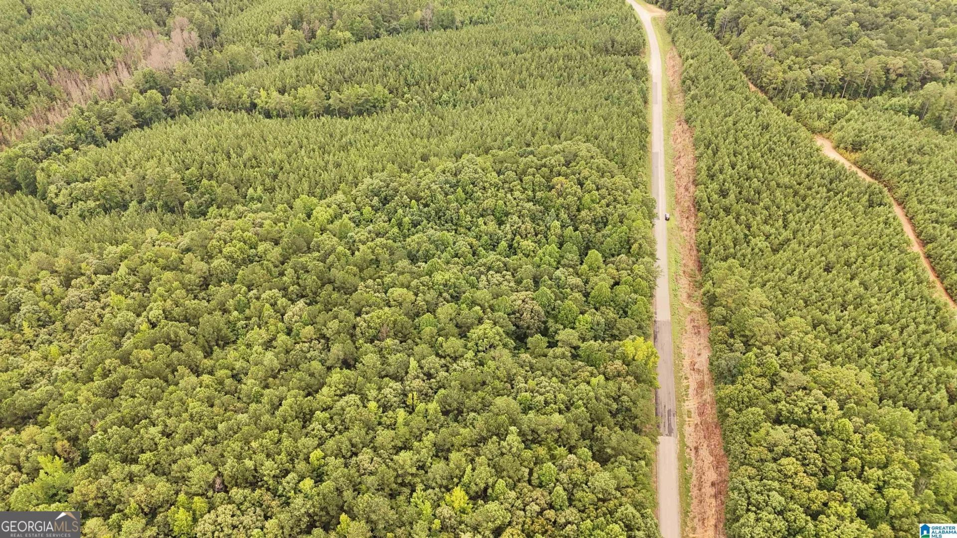 0 County Road 33, Fruithurst, AL 36262 Main Photo