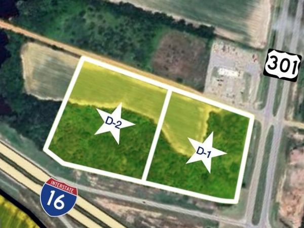 9.94 ACRES Highway 301, Unit D-2, Register, GA 30452