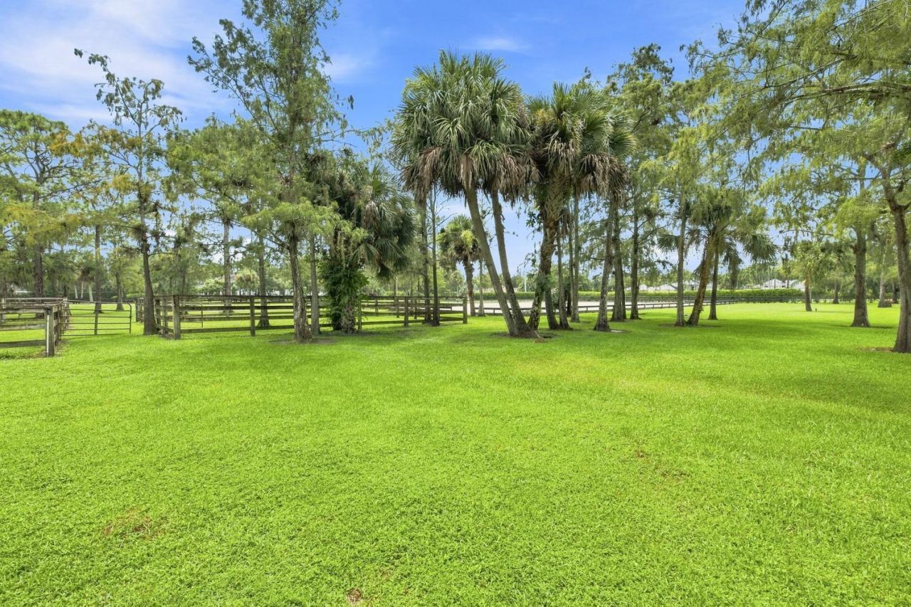 14902 Paddock Drive, Wellington, FL 33414 Photo