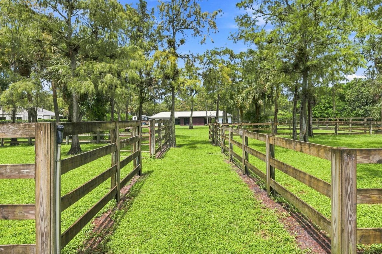 14902 Paddock Drive, Wellington, FL 33414 Photo