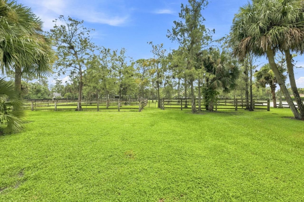 14902 Paddock Drive, Wellington, FL 33414 Photo