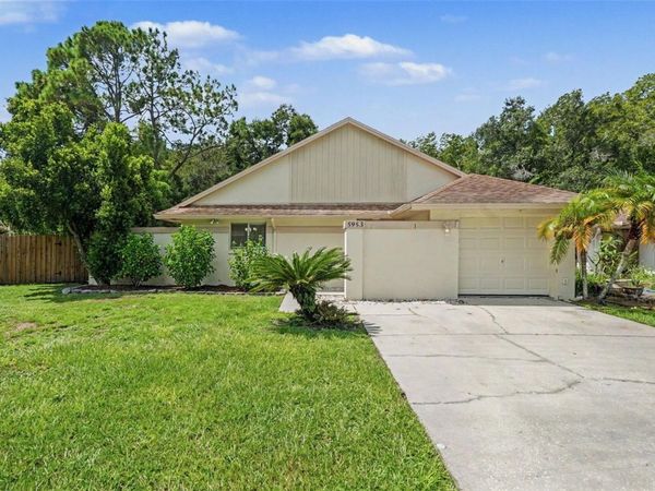 5953 BIRCHWOOD DRIVE , TAMPA, FL 33625