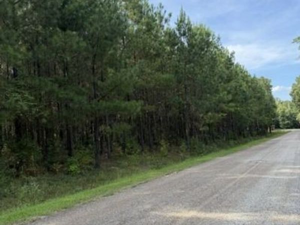 108 Aubrey Mays Road, Forsyth, GA 31029
