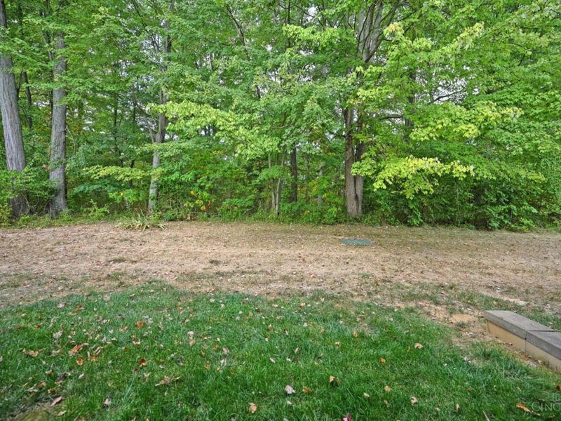 31 Tall Trees Drive, Batavia Township, OH 45102 Photo 36