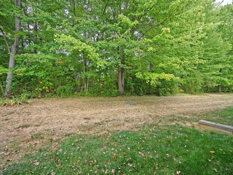 31 Tall Trees Drive, Batavia Township, OH 45102 Photo 37