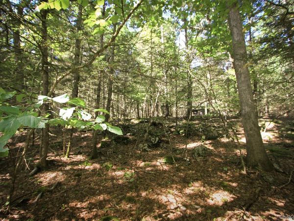 147 Dewitt Road , Accord, NY 12404