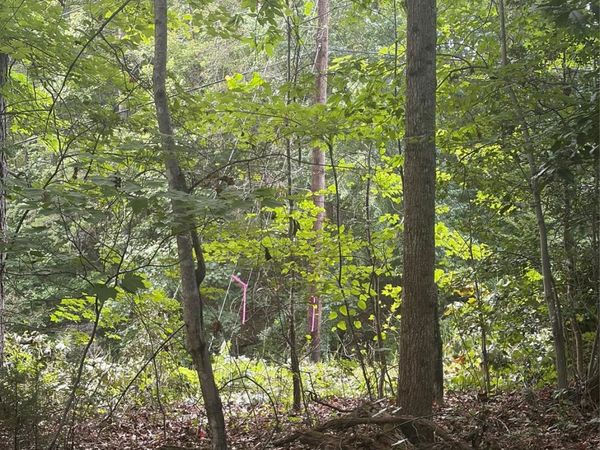 Lot 3 Edgewood Road , Wilkesboro, NC 28697