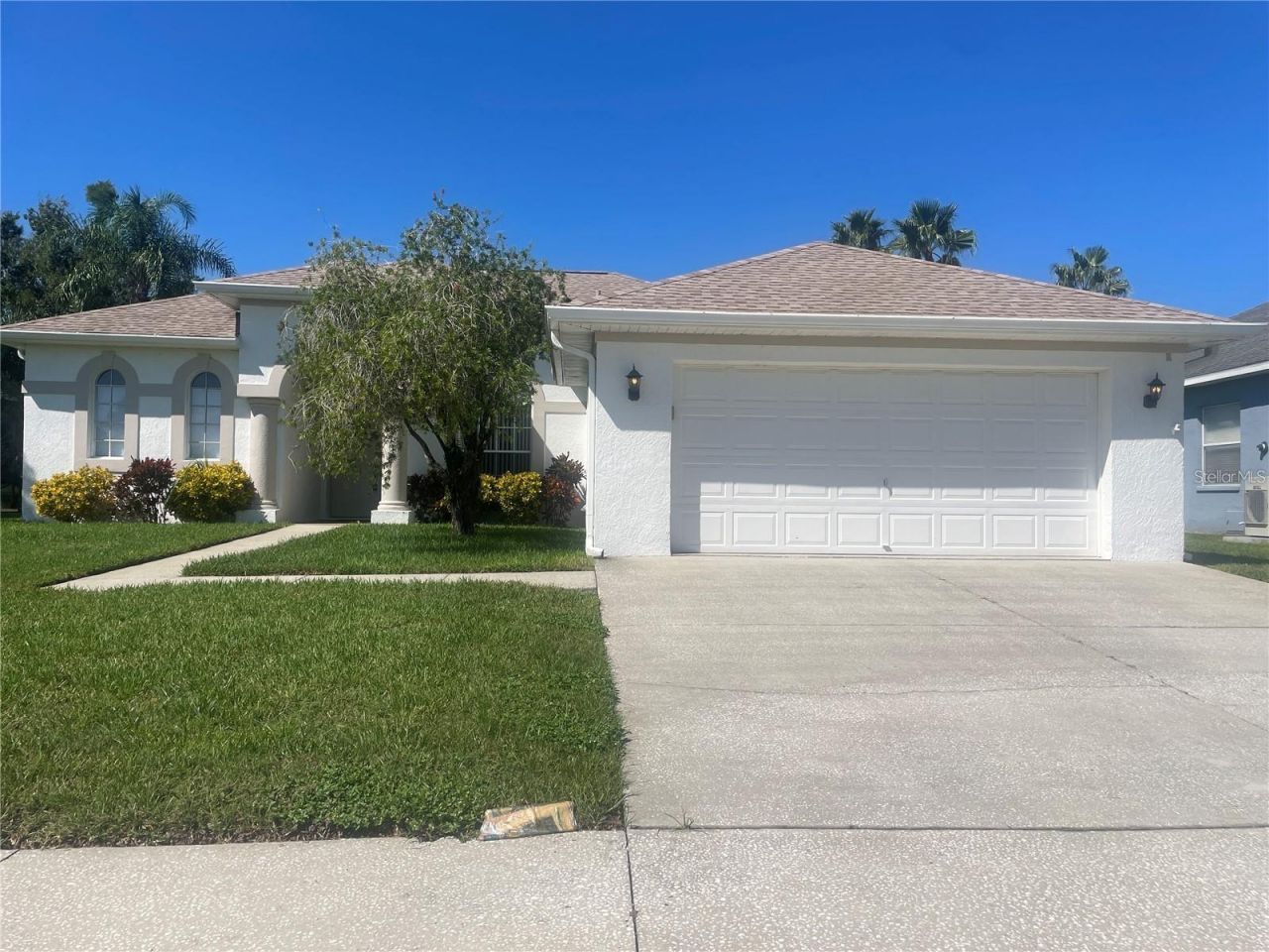 3941 Roswell Place, Land O Lakes, FL 34639 Main Photo