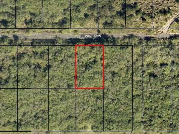1574 PETUNIA STREET SW, PALM BAY, FL 32908