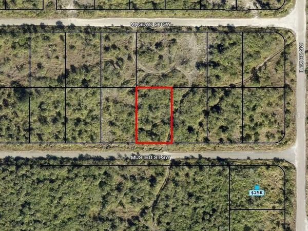 1319 MUSTED STREET SW, PALM BAY, FL 32908